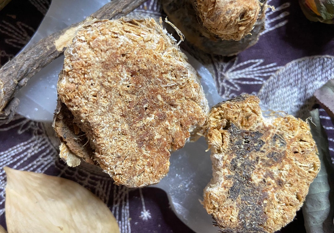 Asafoetida Root Pieces, Protect, Purification, Enlightenment, Exorcism