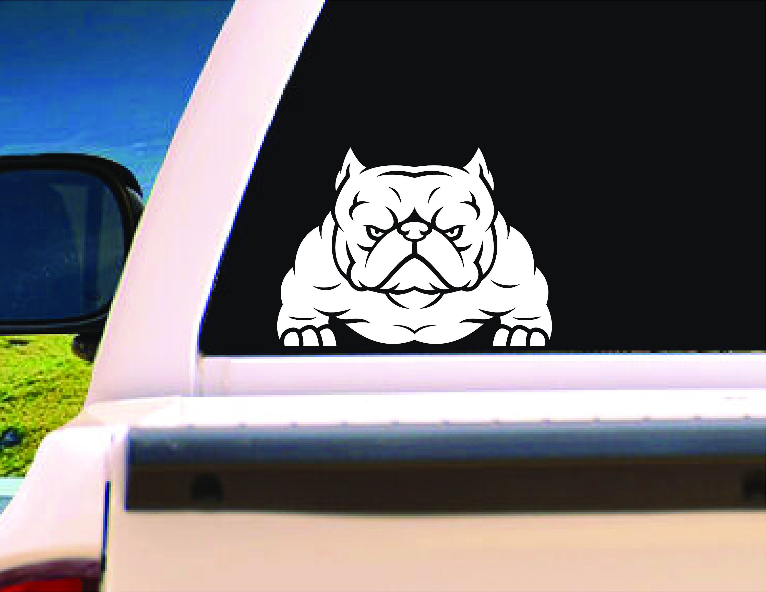 American Bully Decal / Exotic Bully Decal / Sticker/ Bull Etsy
