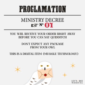 May include: A digital art print with the text "PROCLAMATION" and "MINISTRY DECREE N&deg; 01". The image features a white owl holding a letter, with text that reads "YOU WILL RECEIVE YOUR ORDER RIGHT AWAY BEFORE YOU CAN SAY QUIDDITCH".