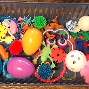 Sugar Glider Toy Box