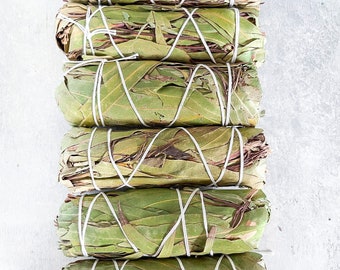 Smudge Stick Bundle - Eucalyptus, Mugwort, and Wild Lavender | Protection | Cleansing | Rituals