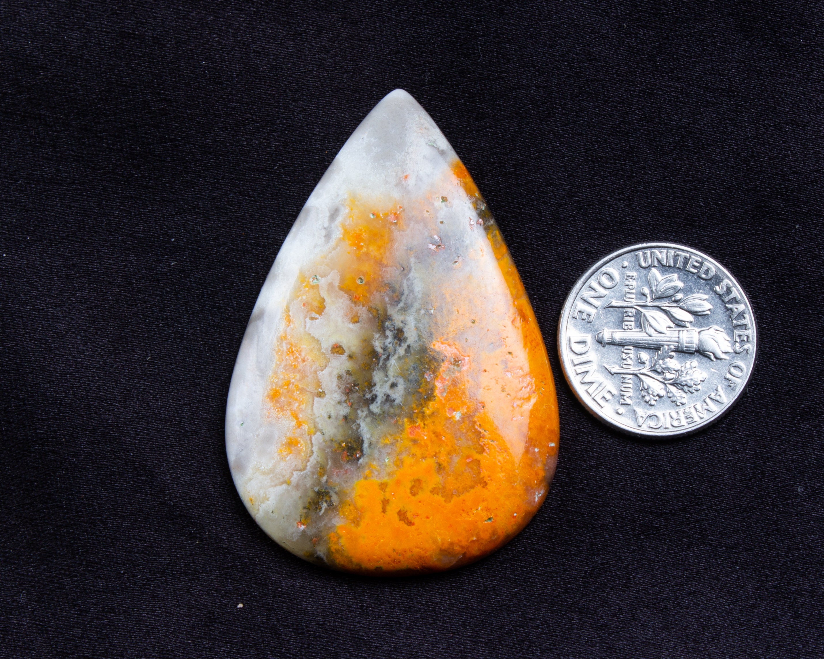 bee jasper bee jasper