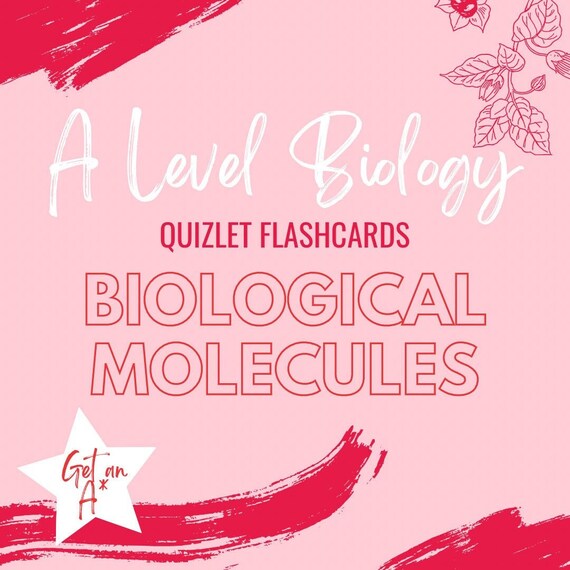 AQA A A Level Biology Flashcards Biological Molecules Etsy