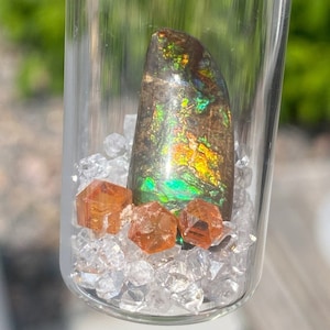 Ammoliet/granaten Gem Jar