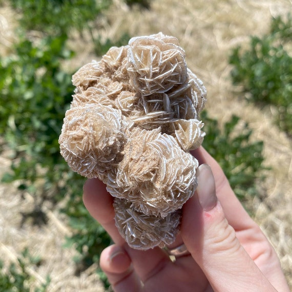 Desert Rose Cluster (142 grams)