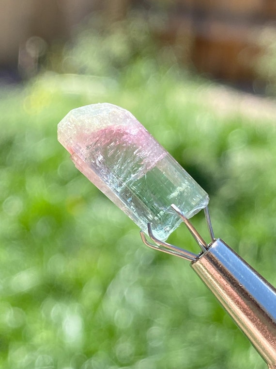 Tri-Colored Tourmaline (.83 Carat)