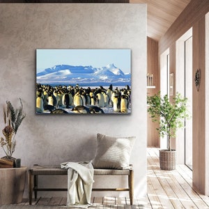 Canvas Wall Art, Emperor Penguin, Antarctic Wildlife, Frozen Landscape, Original Photographic Stretched Canvas Print for Home or Office.