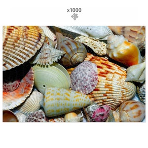 Muscheln 1000 Teile Puzzle - Strand Ozean Küstennatur Geschenk