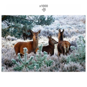 Winter Deer 1000 Piece Jigsaw Puzzle Gift Premium Jigsaw Puzzle for Adults and Family Time Made in Great Britain