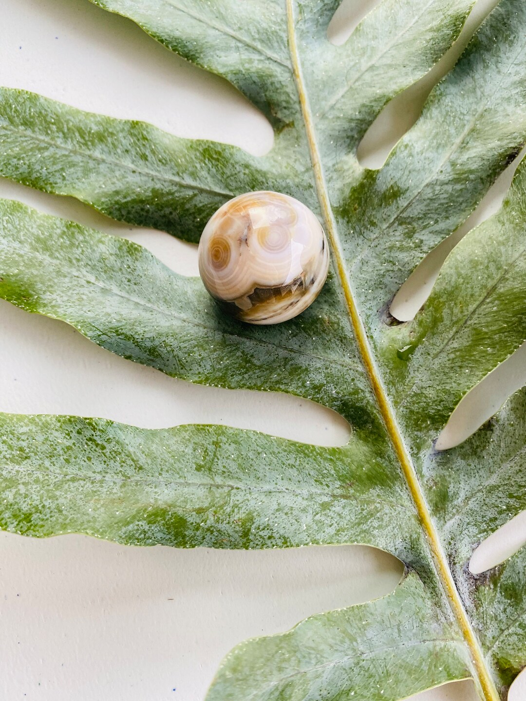 8th Vein Ocean Jasper Sphere、希少コレクターズクリスタル (2.6 cm