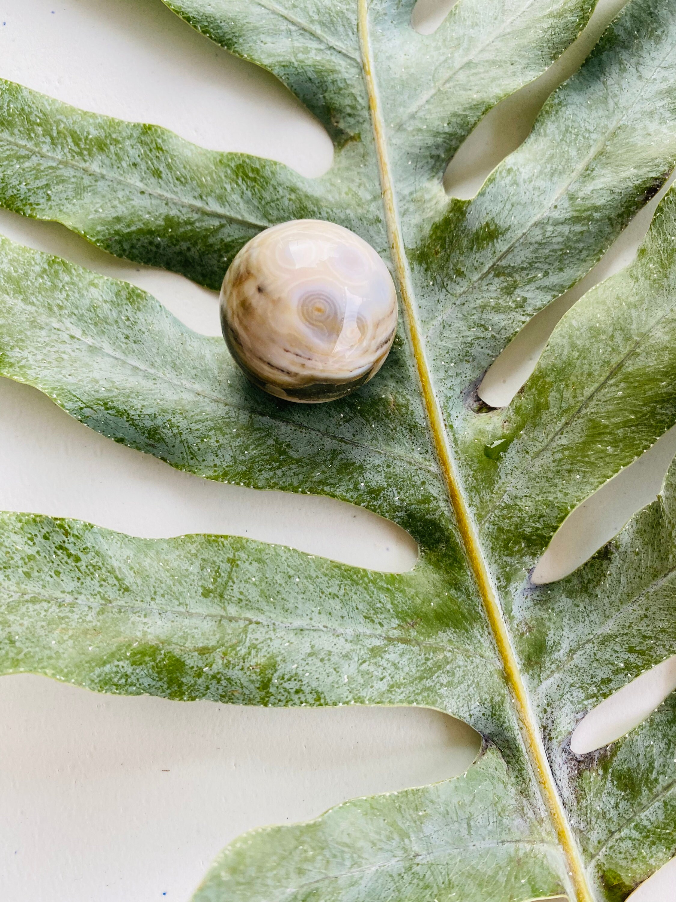 8th Vein Ocean Jasper Sphere、希少コレクターズクリスタル (2.6 cm 