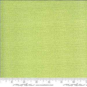 Thatched Meadow by Robin Pickens for Moda 48626 134