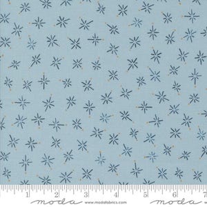 Longshore True North Day Light Blue Color by Janet Clare for Moda 24614 14