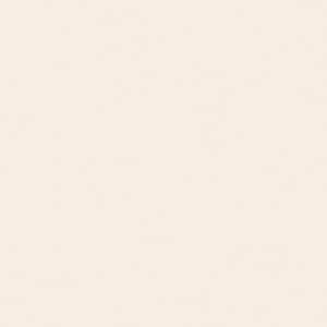 May include: A plain white background.