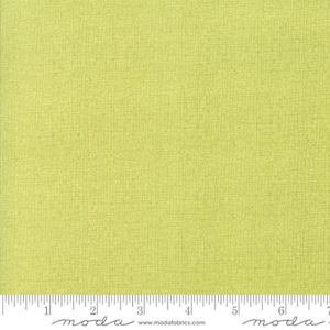 Thatched Greenery by Robin Pickens for Moda 48626 124