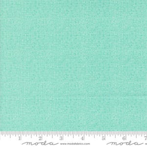 Serena Shores Thatched Aqua by Robin Pickens for Moda 48626 212