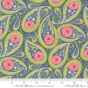 Dandi Duo Paisley Graphite by Robin Pickens for Moda 48753 17