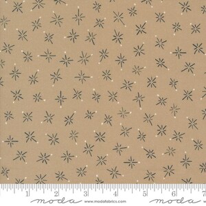Longshore True North Rope Tan Color by Janet Clare for Moda 24614 20