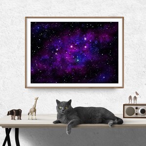 May include: A framed print of a galaxy with a purple and blue nebula, surrounded by stars. A grey cat is lying on a wooden table in front of the print, with a giraffe and other animal figurines on the table.