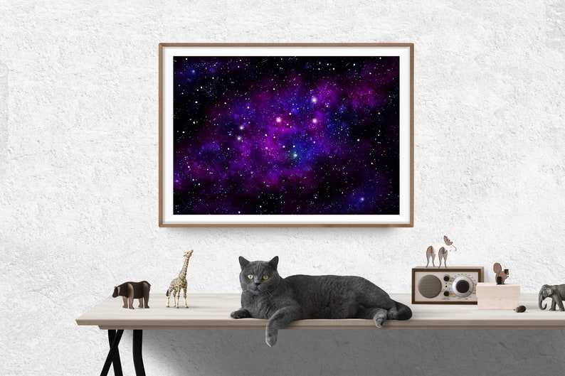 May include: A framed print of a galaxy with a purple and blue nebula, surrounded by stars. A grey cat is lying on a wooden table in front of the print, with a giraffe and other animal figurines on the table.