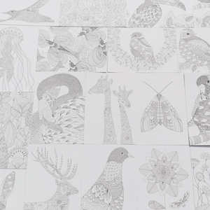 10 zwart-witte ansichtkaarten met dieren Briljant witte kaart om in te kleuren Junk Journal Ephemera Journal Card Monochroom