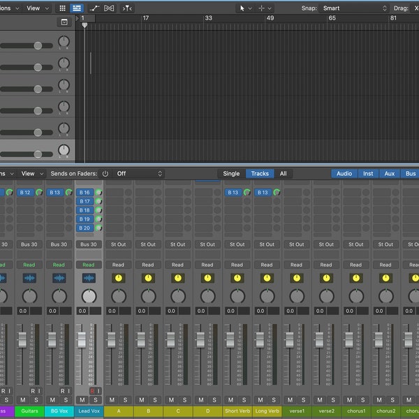 Logic Pro X Brauerizing Mixing Template - rare!
