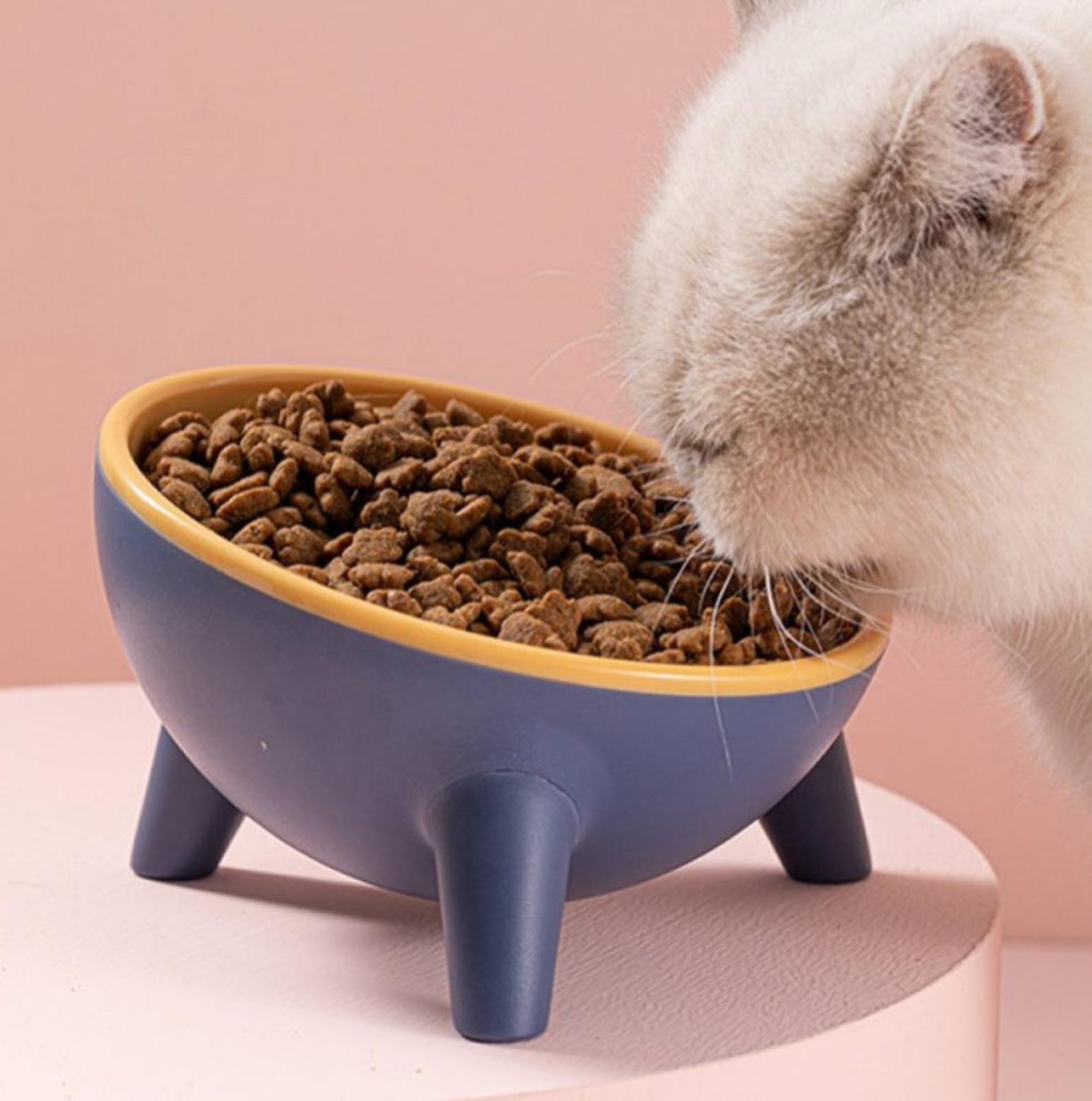 Novobey Raised Plastic Cat Food Cozy Cat Bowl Raised Etsy
