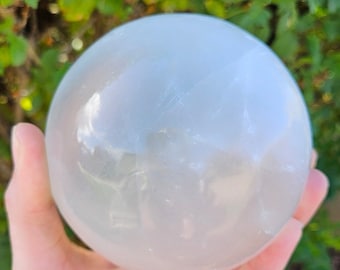 Groothandel in selenietbol