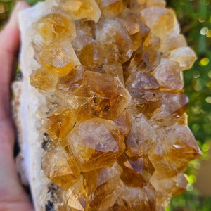 Citrine Crystal Cluster Choose Your Own, Citrine Cut Base Wholesale