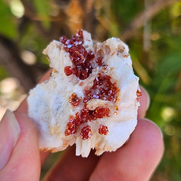 Vanadinite with Byrite and Limestone Variety