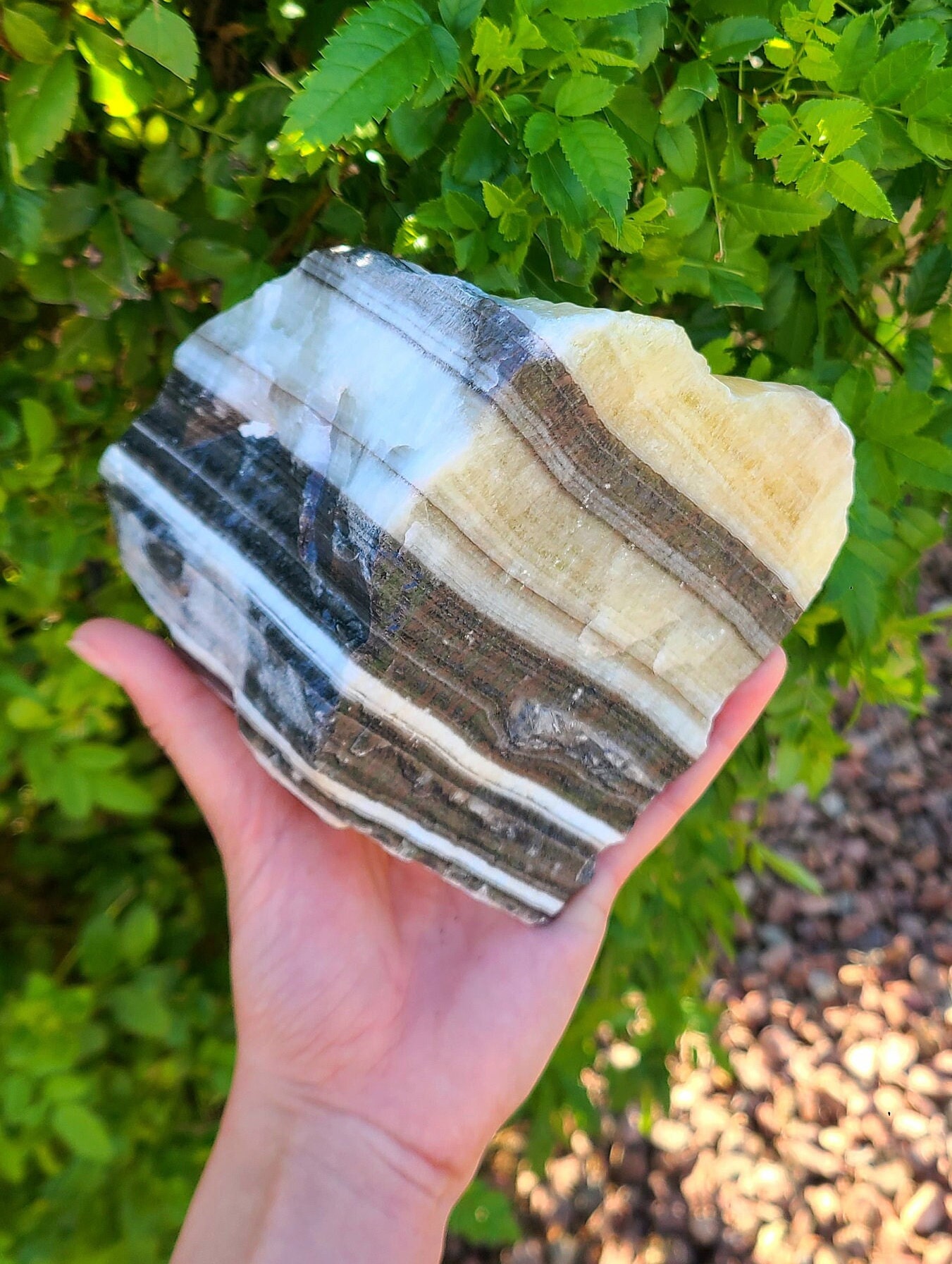 3lb Zebra Calcite Stone, Large Polished Zebra Calcite