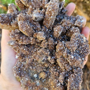 Roze Cactuskwartskristalcluster