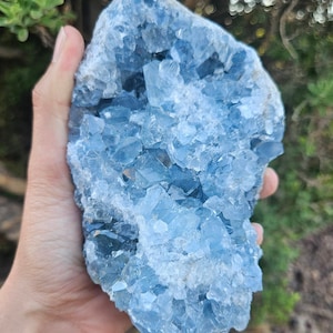 Grade AB Wholesale Celestite Clusters
