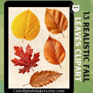 Fall leaves clipart, lifelike fall leaves png, fall leaves digital clip art, fall leaf clipart, autumn leaves png, realistic fall clipart