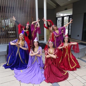 Handcrafted Persian Dance Costume: Nowruz, Yalda Night, Ceremonial Dress