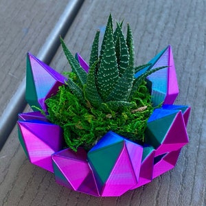 Color Shifting Crystal Small Plant Pot Decor Custom