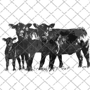 Heard That Cows PNG File, Sublimation Design, Téléchargement numérique, Farm Clipart, Fichier pour sublimation, Sud PNG, Pays PNG