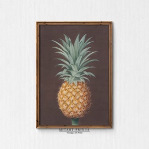 Peut inclure: Une illustration botanique vintage d'un ananas sur fond brun. L'ananas a une couronne de feuilles vertes et un fruit jaune avec une tige brune. L'image est encadrée dans un cadre en bois avec le texte "MITART PRINTS Vintage Art Print" en bas.
