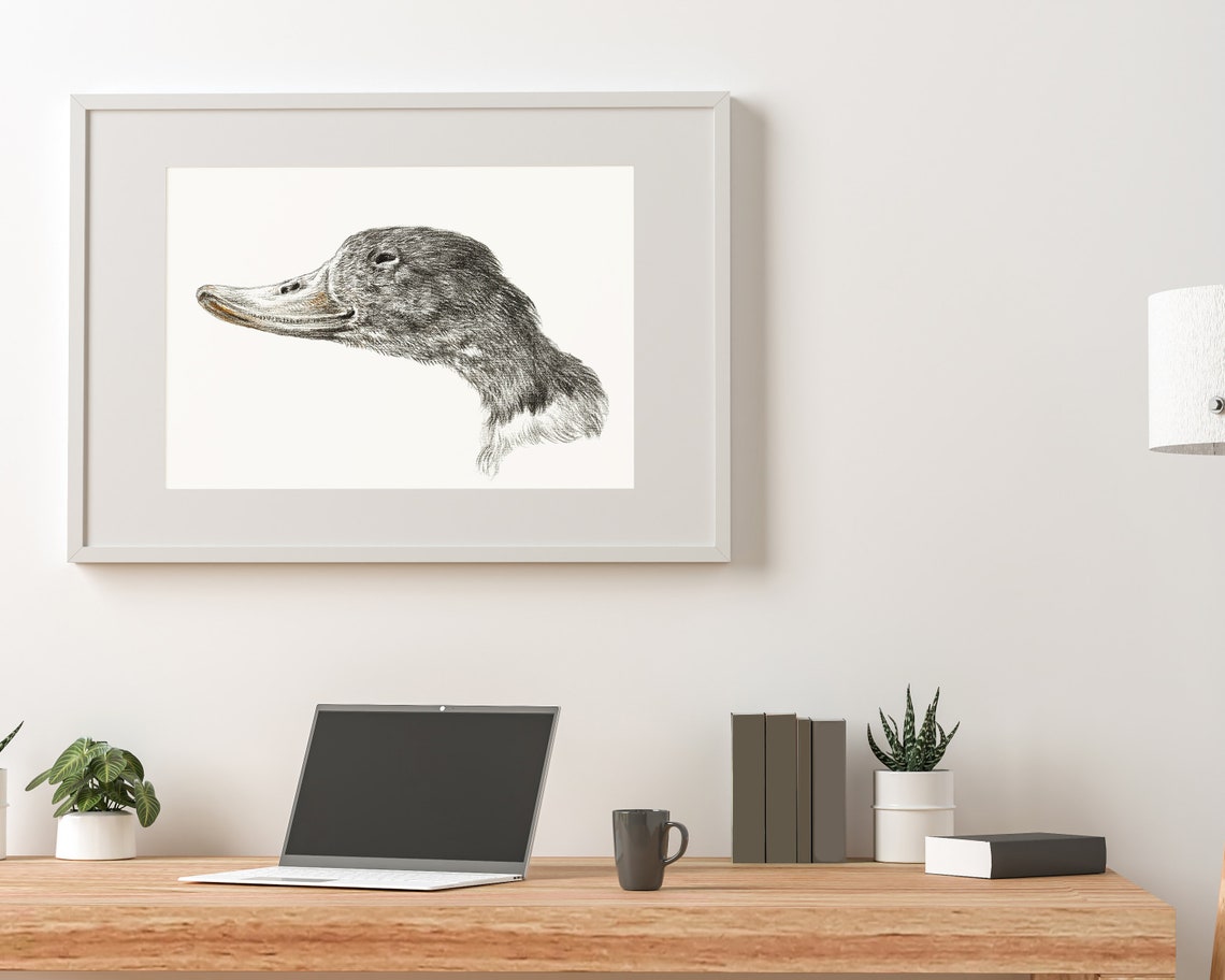 Nursery Duck Wall Art Decor Duck Prints Nursery Print Etsy