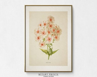 Estampado botánico vintage, Pintura de flores antiguas, Decoración de granja rústica, Arte floral imprimible, Decoración de granja imprimible