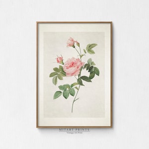 Vintage Rose Print, Antique Flower Print, Muted Botanical Print, Vintage Flower Painting, Minimalist Flower Drawing, Decoración de casa de campo
