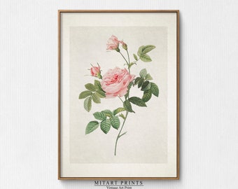 Vintage Rose Print, Antique Flower Print, Muted Botanical Print, Vintage Flower Painting, Minimalist Flower Drawing, Farmhouse Decor