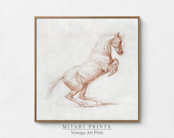 Printable Vintage Horse Drawing, Minimalist Horse Sketch, Antique Horse Print, Rustic Farmhouse Decor, Printable Horse Art, Horse Etching