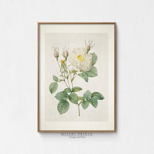 Vintage White Rose Print, Vintage Flower Watercolor Painting, Rustic Farmhouse Decor Printable, Soft Neutral Nursery Print, Neutral Prints
