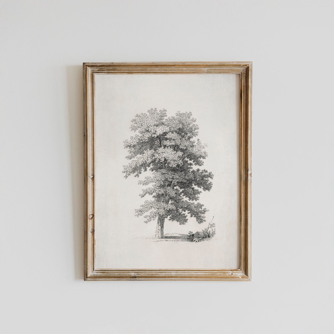 Vintage Tree Print Neutral Tree Sketch Drawing Printable Etsy