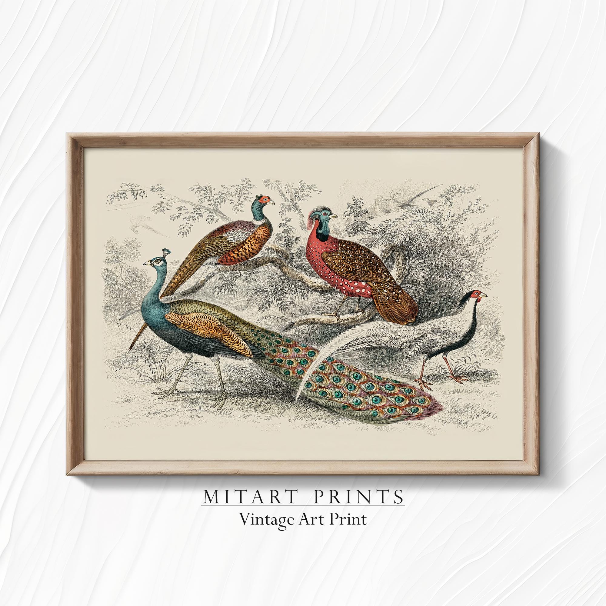 Antique Peacock Art Painting, Vintage Printable Bird Print, Vintage Peacock Wall Art, Farmhouse Wall Decor, Downloadable Art Print, 25-06