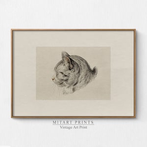 Vintage Cat Print, Printable Nursery Art, Cat Drawing Printable Wall Art, Nursery Room Art Prints, Farmhouse Nursery Art, Descarga instantánea