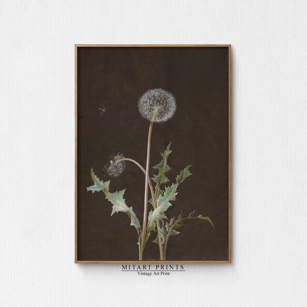 Vintage Dandelion Painting, Moody Vintage Flower Print, Antique Botanical Art Printable, Farmhouse Flower Painting, Dark Flower Wall Art