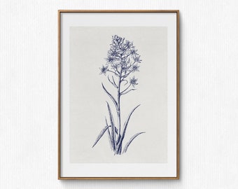 Antike neutrale Blumen Skizze, Vintage Botanischer Druck, Bauernhaus Blumen Kinderzimmer Druck, Vintage Botanische Linie Zeichnung, Digitaldruck