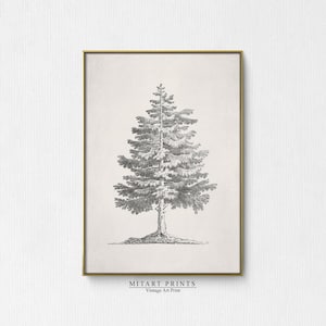 Impresión de pino vintage, Arte de pared de pino vintage, Impresión de boceto de árbol de Navidad, Dibujo de árbol imprimible, Obra de arte para pared, descarga digital